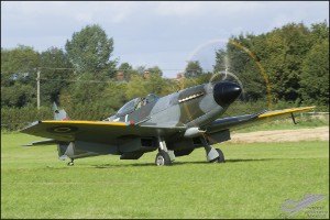 D7T_2946