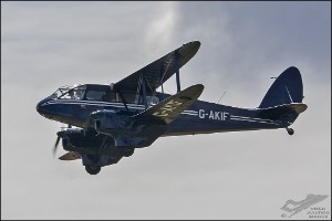 D71_6529