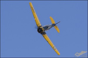 D71_6863a