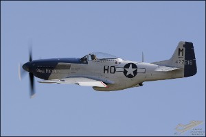 D71_6946