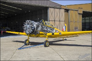 D7T_3458