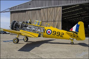 D7T_3464