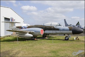 d7t_3559
