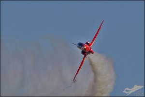 D71_7952