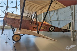 PXL_20230617_101600814