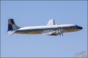 D75_1667