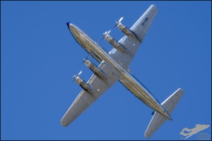 D75_1673