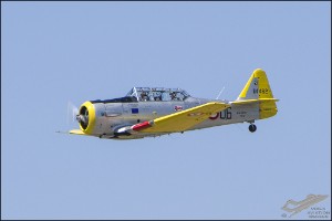 D75_1749