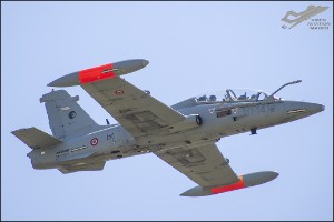 D75_1981