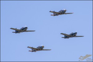 D75_2040
