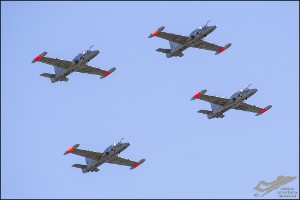 D75_2055