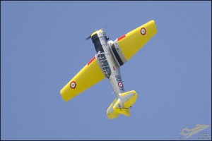 D7T_5221
