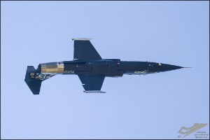 D7T_5246