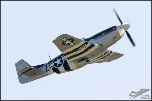 D7T_5263