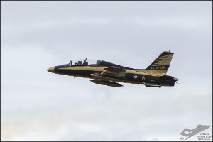 D75_2346