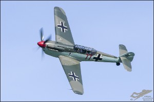 D75_3083