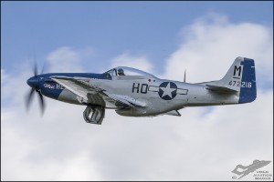 NZ6_0111