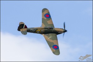 NZ6_0328