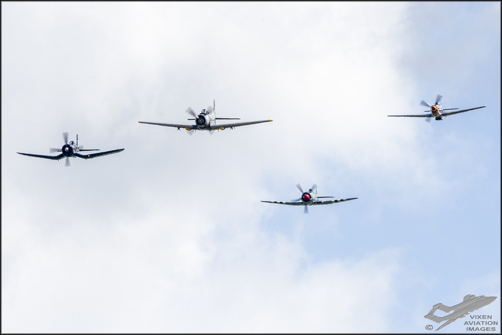 Skyraider, Corsair, Mustang and Sea Fury 