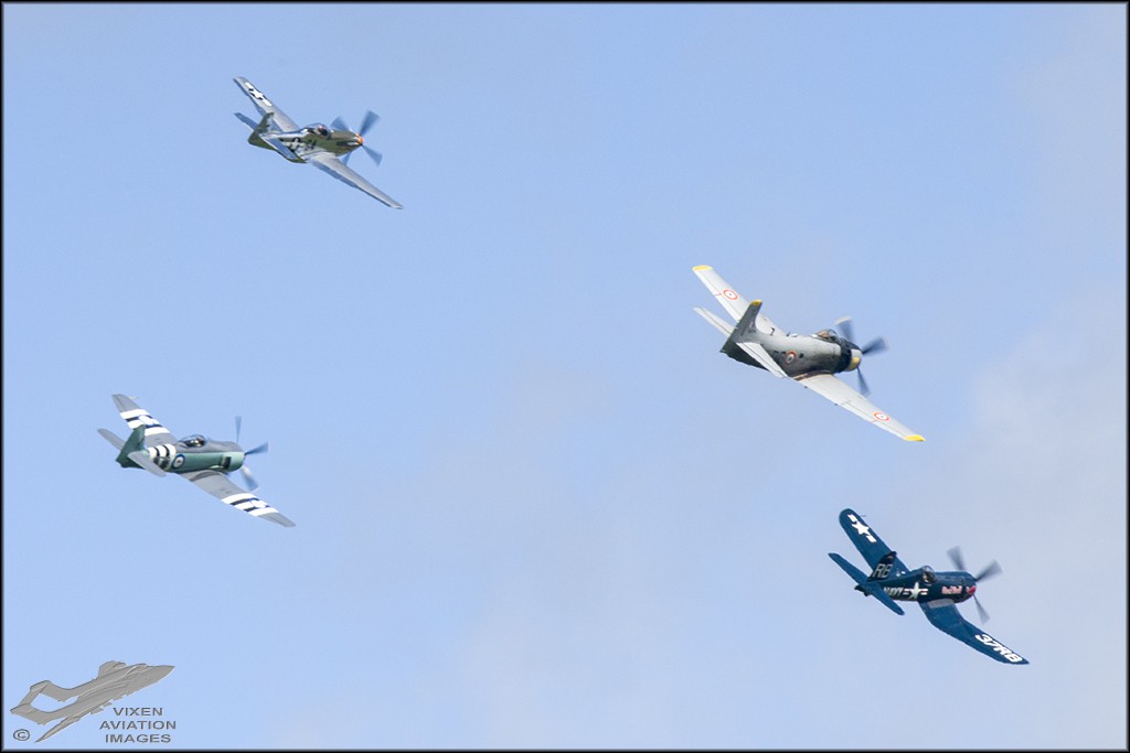 Skyraider, Corsair, Mustang and Sea Fury 