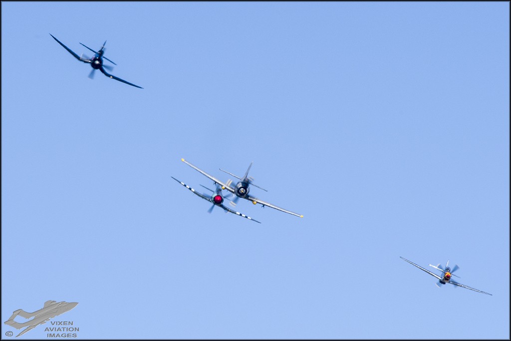 Skyraider, Corsair, Mustang and Sea Fury 
