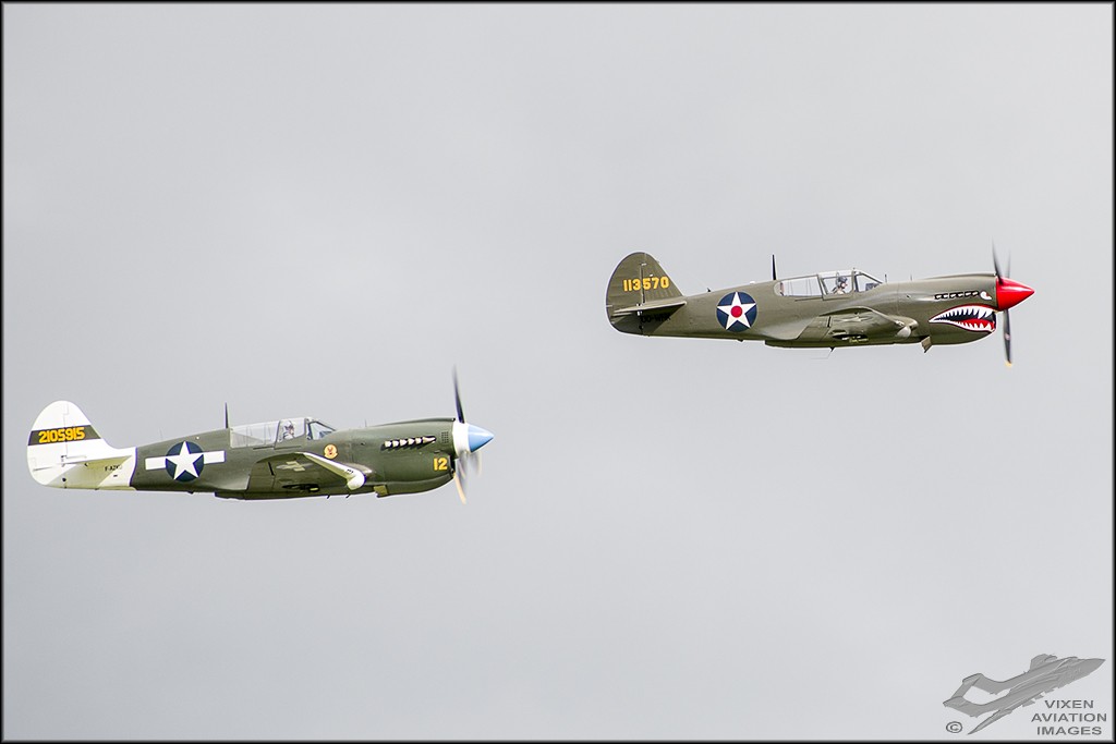 Curtiss P-40 Warhawks 
