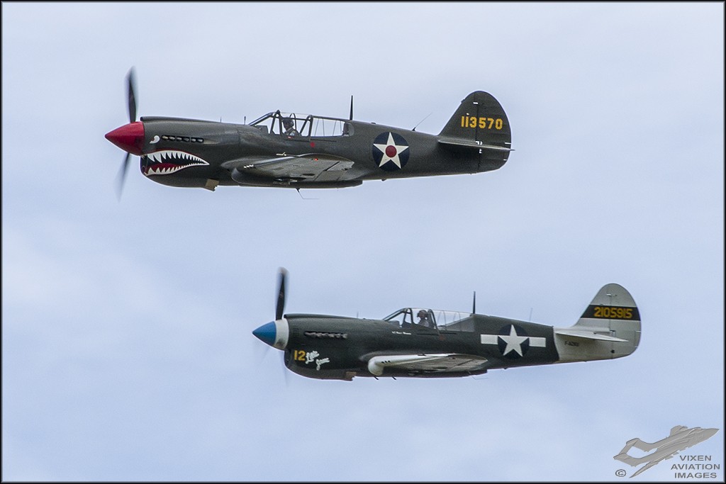 P-40 Warhawks 