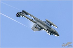 D75_6198