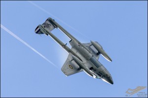 D75_6199