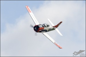 D75_6272