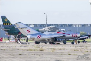 NZ6_1291