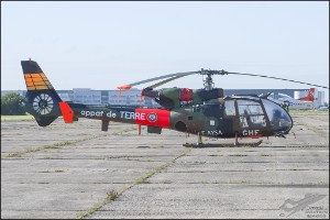 NZ6_1294