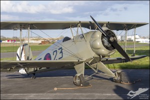 D75_3223