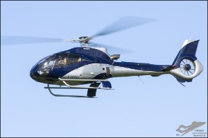 NZ6_1269