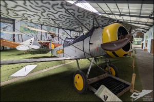 PXL_20240912_122911435