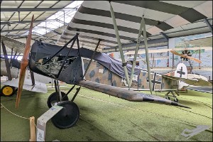 PXL_20240912_122947692