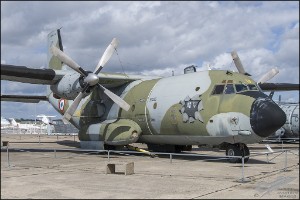 NZ6_1174