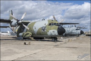 NZ6_1175