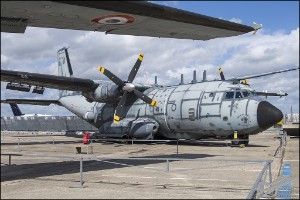 NZ6_1177