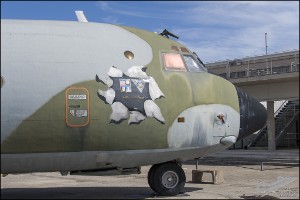 NZ6_1180