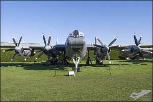 NZ6_0377