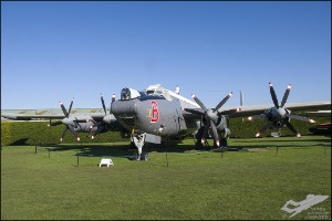 NZ6_0397
