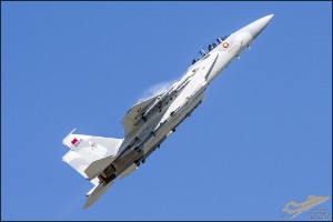 D75_4755