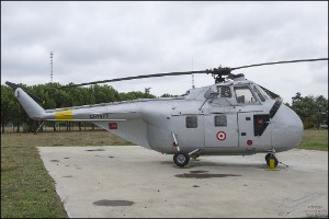 NZ6_2183