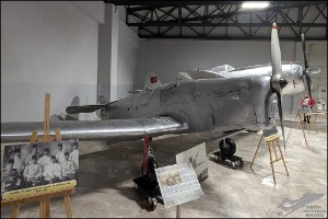 PXL_20241115_101335458