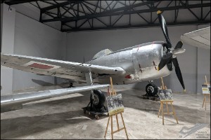 PXL_20241115_101425220