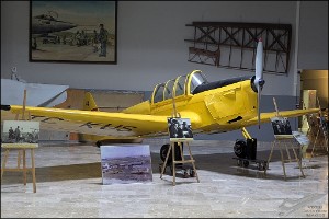 PXL_20241115_101453042