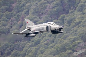 D75_7377