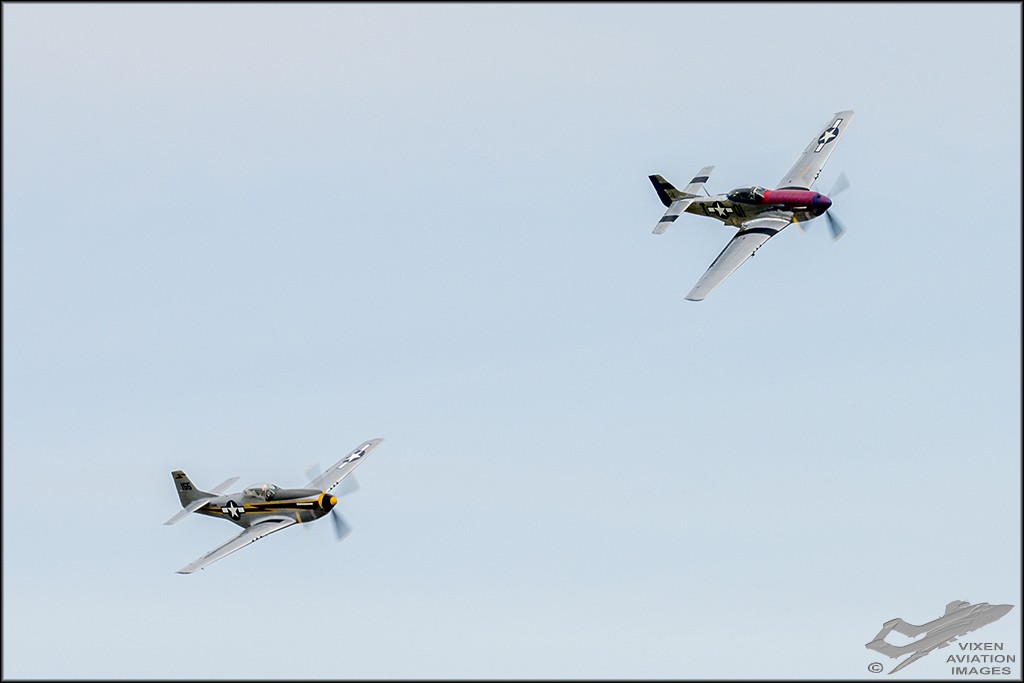 Mustangs 