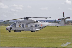 D75_8443